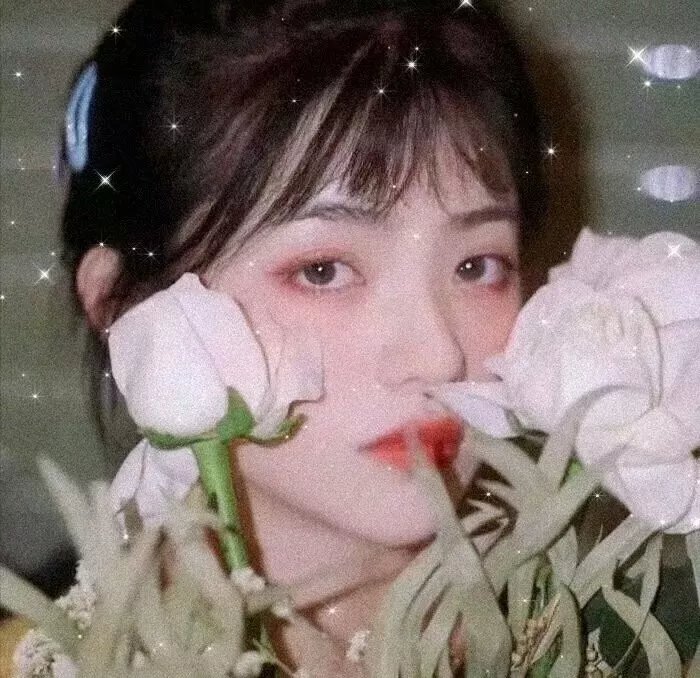 高朋满座粤语